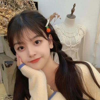 一只狗的大学时光